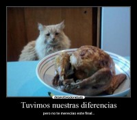 /album/fotogaleria/a0bf257dedef34388b74fd0a5e4a89bef-jpg/