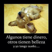 /album/fotogaleria/imagenes-graciosas1-jpg/